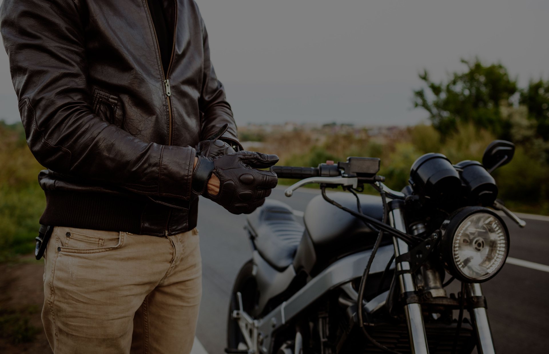 Chamois International leather collection
